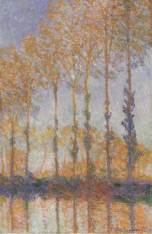 Claude Monet Poplars on the banks of the EPTE Spain oil painting art